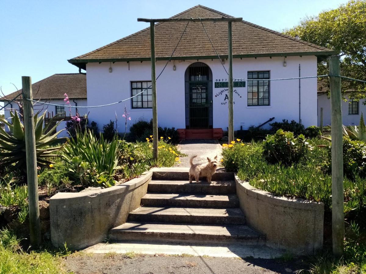 Lodge Lighthouse Farm Backpackers Kapstadt