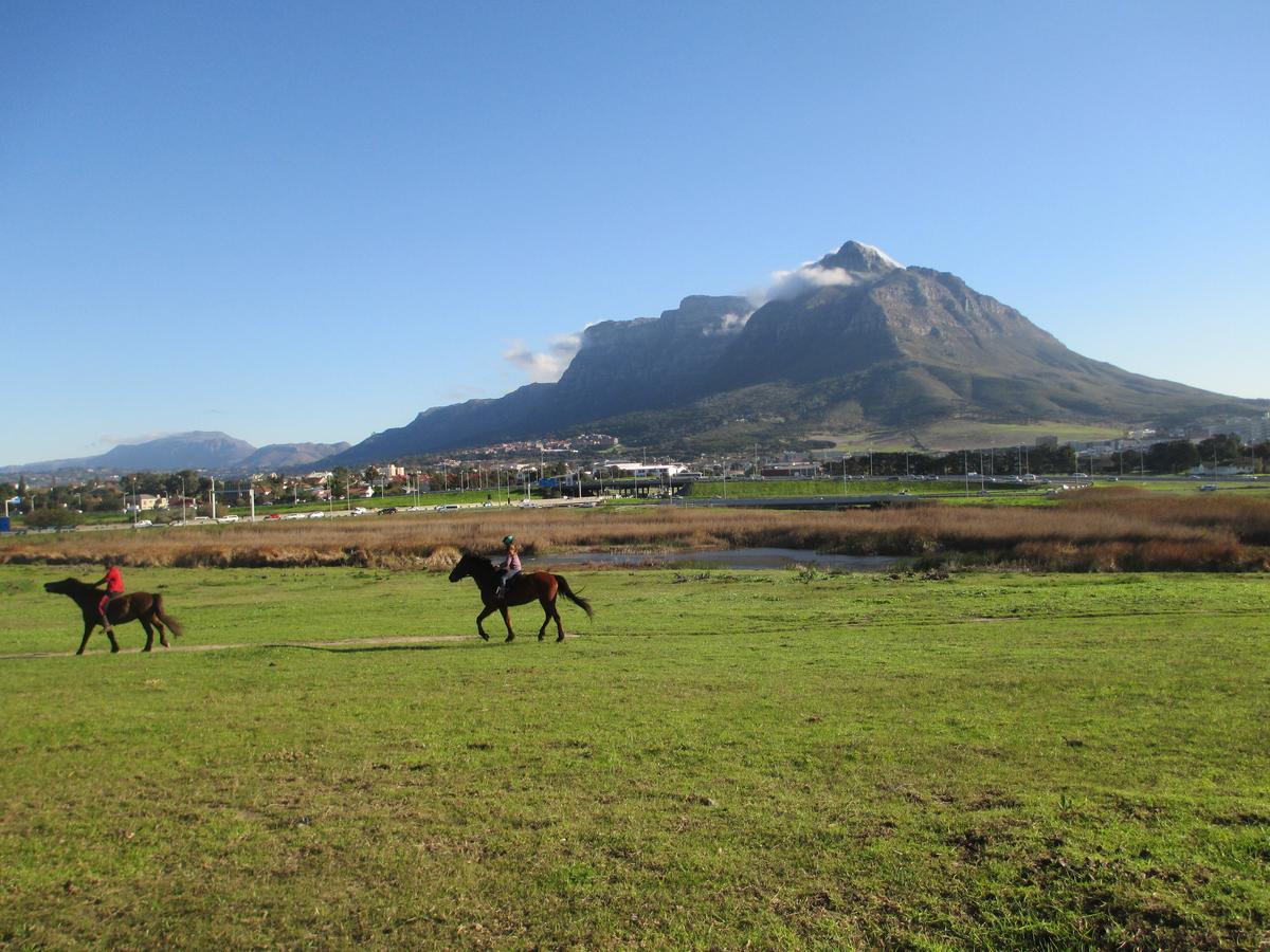 Lighthouse Farm Backpackers Lodge *